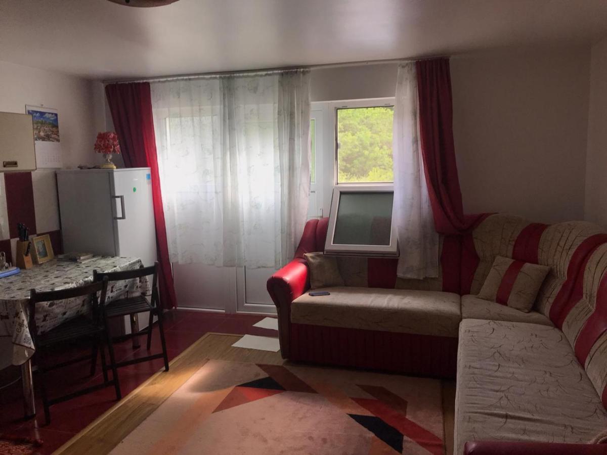 Garsoniera Lazaroiu Apartment Baile Govora Luaran gambar