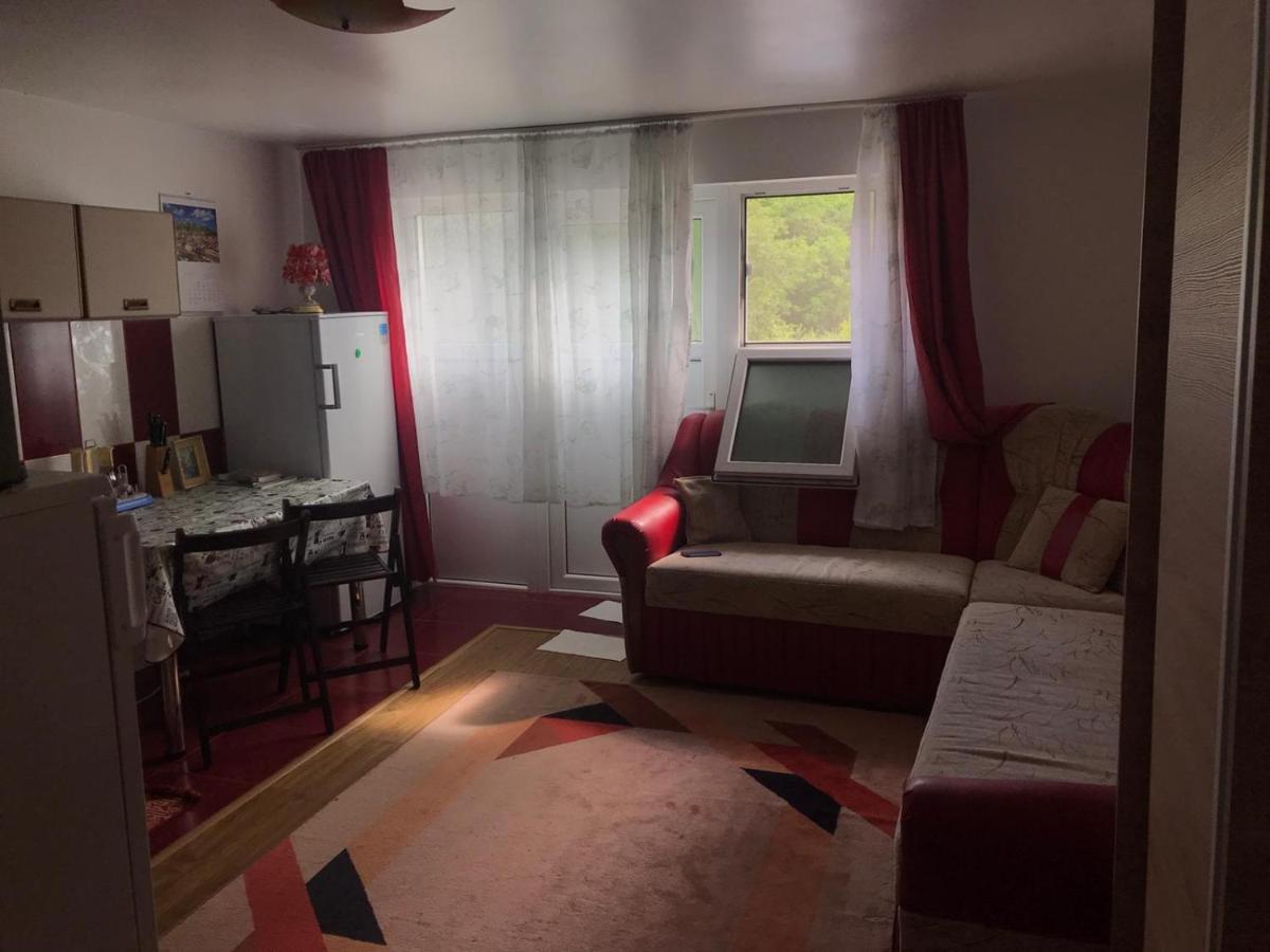 Garsoniera Lazaroiu Apartment Baile Govora Luaran gambar