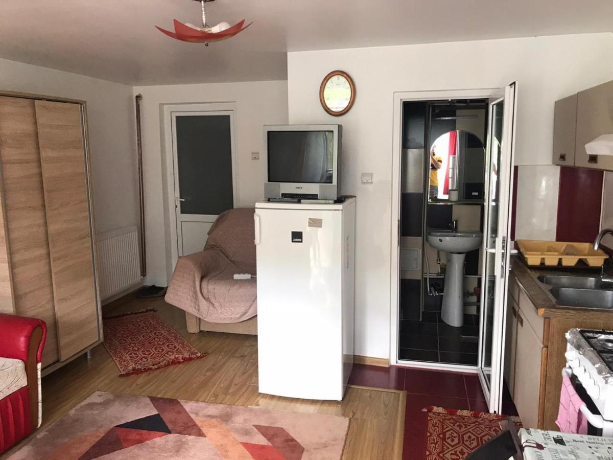 Garsoniera Lazaroiu Apartment Baile Govora Luaran gambar